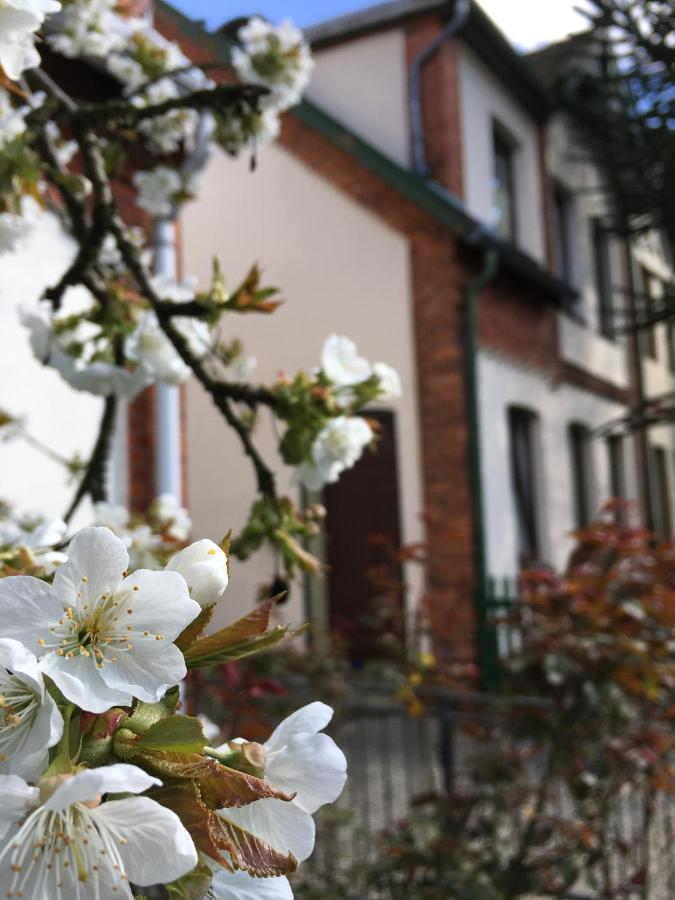 Ferienwohnung Berta Lueneburg Esterno foto